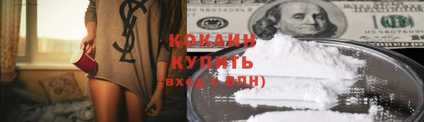 шишки Костерёво