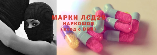 шишки Костерёво