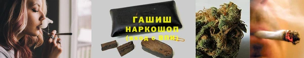 ГАЛЛЮЦИНОГЕННЫЕ ГРИБЫ Коряжма