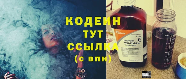 ГАЛЛЮЦИНОГЕННЫЕ ГРИБЫ Коряжма